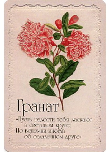 Оракул «Селам или Язык Цветов»